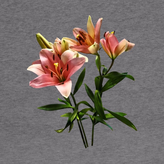 Lilies - Pink Lily Trio by SusanSavad